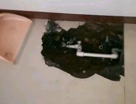 温宿卫生间测漏水多少钱